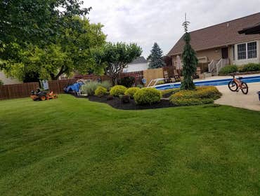 Photos by Amigos Lawn Care & Tree Service #1