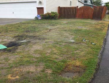 Photos from Newport Landscape Services LLC