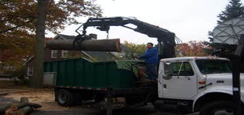 tree removal