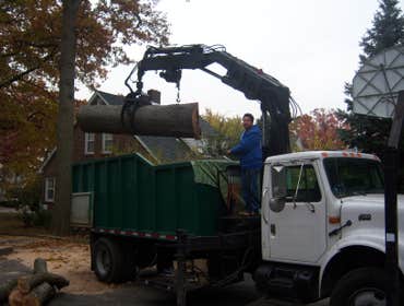 tree removal