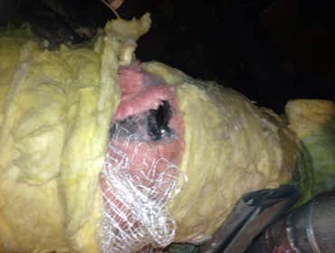 asbestol removal