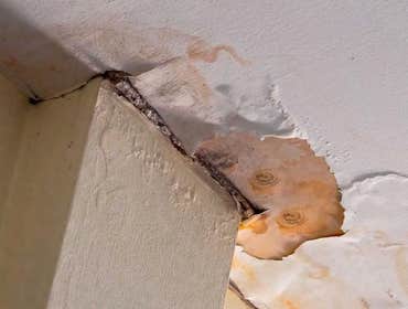 Photos by Supreme Naperville Water Damage #1