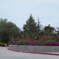 Photos by A Munoz Landscaping #1