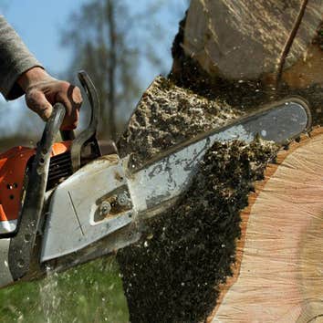 Tree Cutting Service