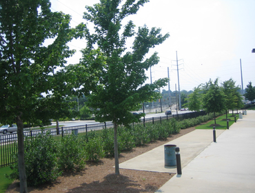Landscape design