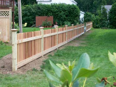 Cedar