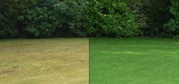 Photos by Austin Lawn Painters #1