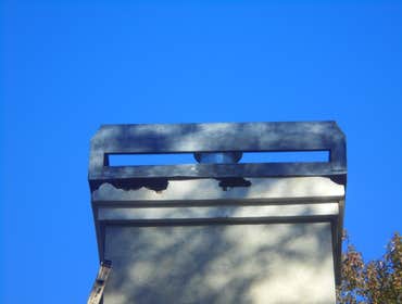 Before-With Woodpecker damage