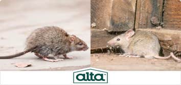 Alta Pest Control