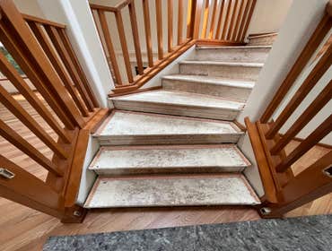 Photos by Gus's Premium Carpets Inc #1