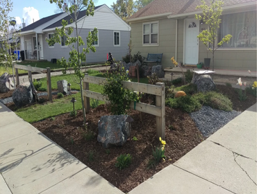 Landscaping