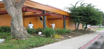 Sal Concha Painting Projects
