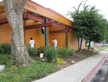 Sal Concha Painting Projects