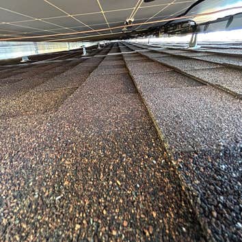 Dynasty Services Tx LLC