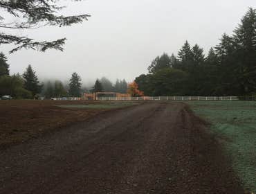 New Construction