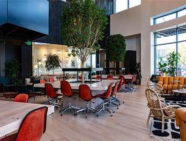 Photos by Concept Commercial Construction #1