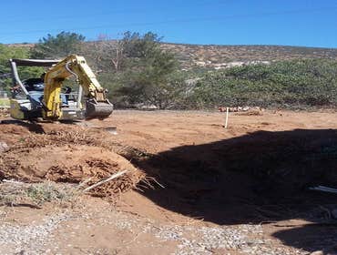 Photos from Sorias Landscaping & Maintence