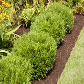 Limitless Landscape Contracting