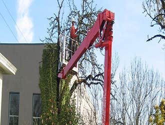 Photos from General Tree Service