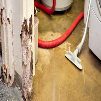 Photos by Water Damage Restoration Far Rockaway #1