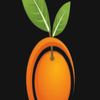 Orange Bright Painting & Service logo
