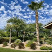 Photos by H&R Tree Services LLC #1