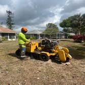 Arbobella Tree Service