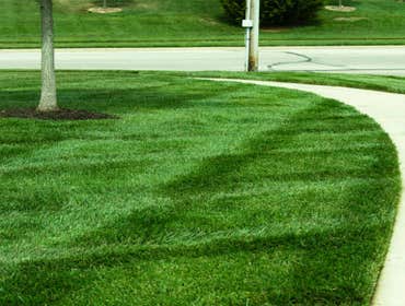 Photos by Joseph Lawncare #1