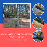 Photos by Guacamaya Tree Service & Lawncare Inc #4
