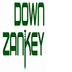 Down Zankey Construction logo