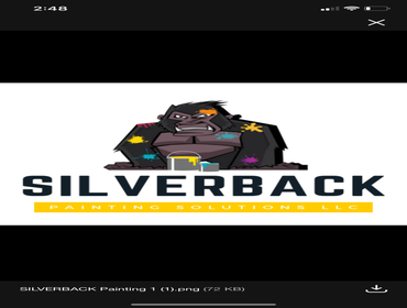 Photos by Silverback Painting Solutions #1