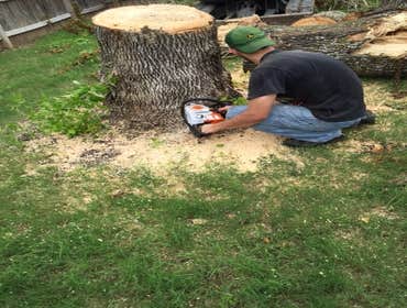Photos from South Texas Tree of Life Tree S.Tx Tree of Life Tree Service