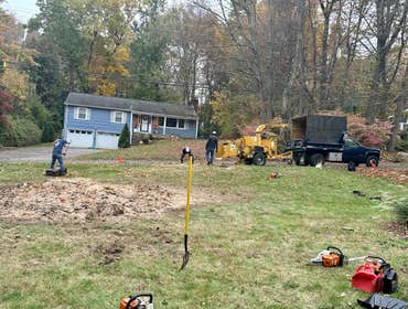 Photos by E. Sanchez Tree Services #3