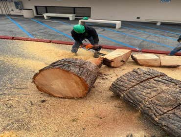 Photos by California Green Tree Care #1