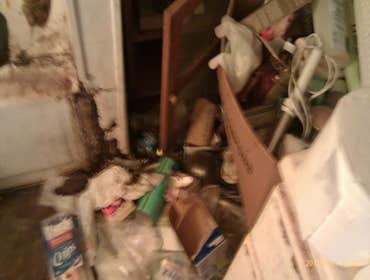 Project photos from Executive Cleaning Service
