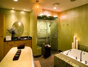 Modern Spa by Mantis Design + Build, LLC