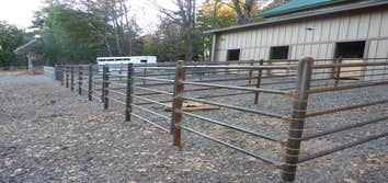 Horse Paddock