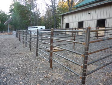 Horse Paddock