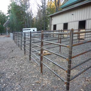 Horse Paddock