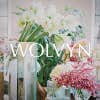 Wolvyn Interiors + Design logo