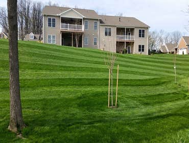Photos by Amigos Lawn Care & Tree Service #1