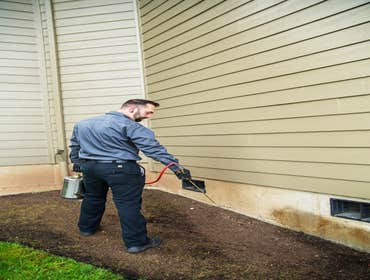 Pest Application Seth