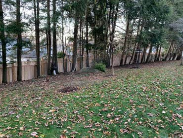 Fences