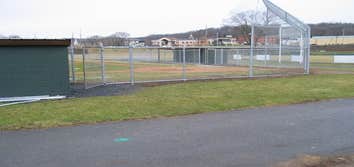Chain Link