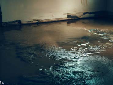 Photos by Elite Restoration Group #1 water damage restoration
