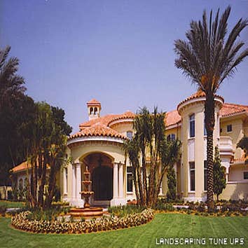 Private Residence-Tampa Landscaping Tune Ups specializes in custom designs like the baseball field and pool area of this private Tampa residence.