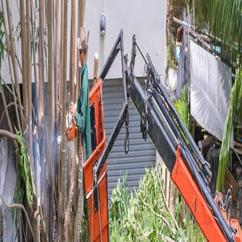 Big Easy Tree Removal: New Orleans Tree Service & Grinding Company