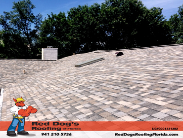 Photos by Red dog's Roofing of Florida #1