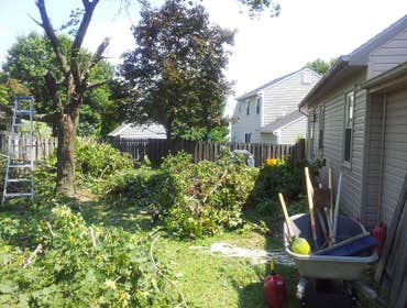 Photos from Mosey Landscapes, Inc.