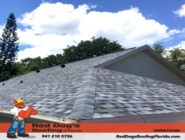 Photos by Red dog's Roofing of Florida #1